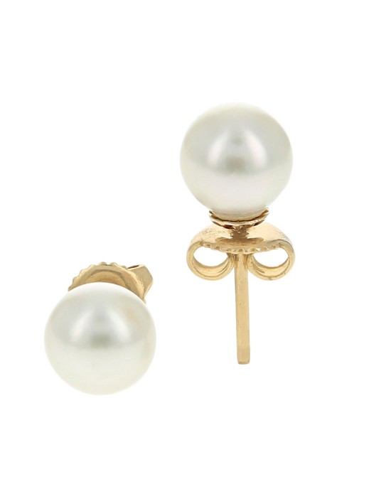 White Freshwater Pearl Studs in Yellow Gold